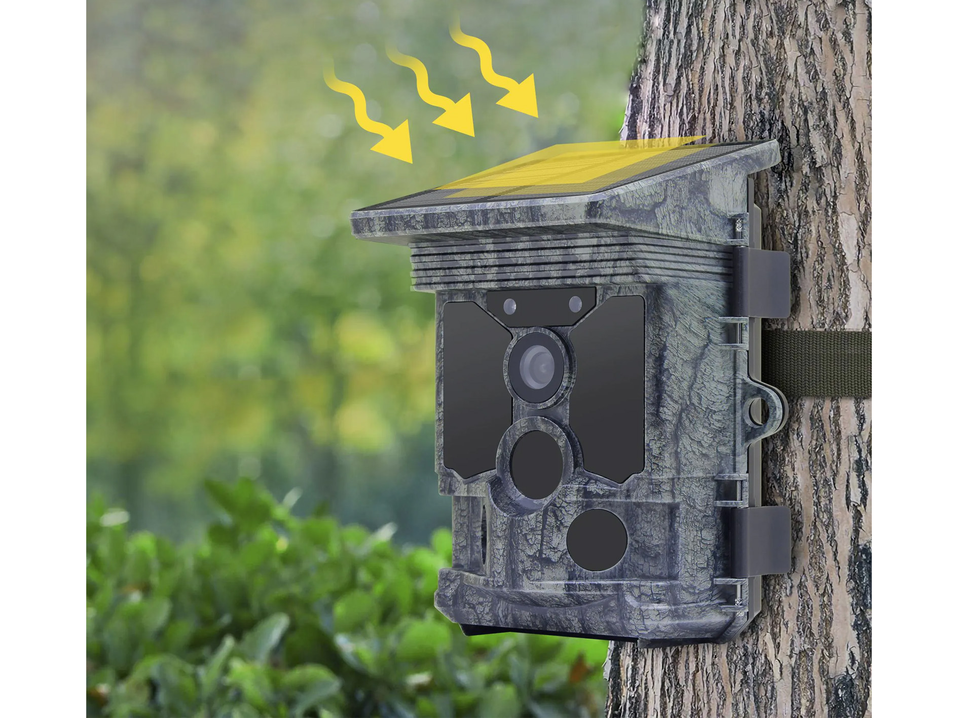 wildcamera stealth gear fox2